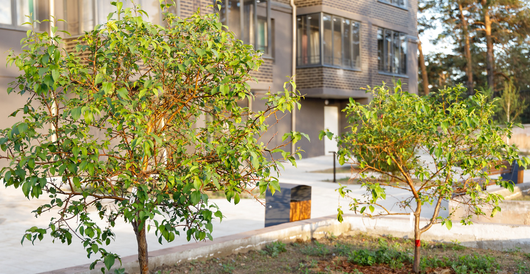 изображение для слайда 4